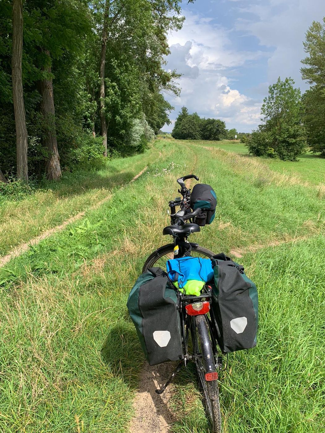 Radweg vor Mainz
