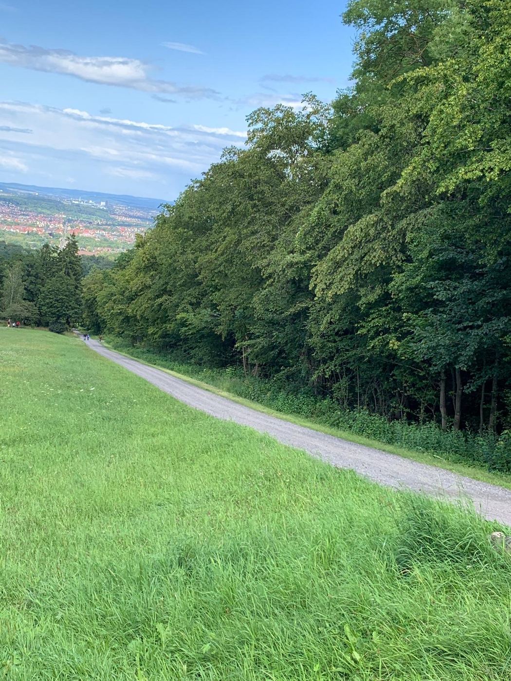 Radweg zum Schloss Solitude