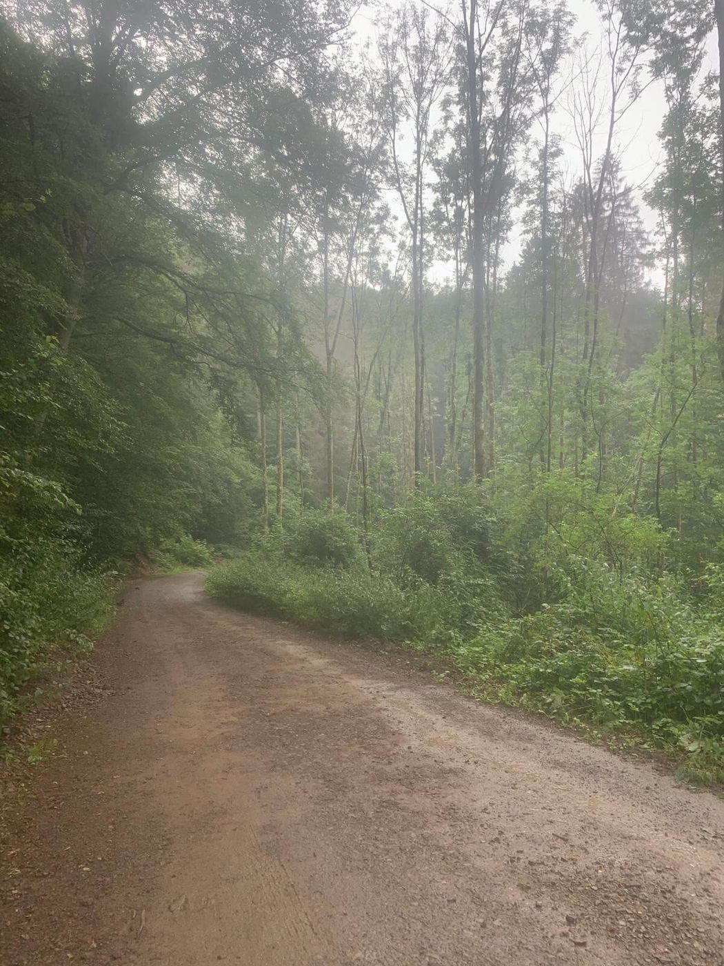 Regen und ganz viel Schotter