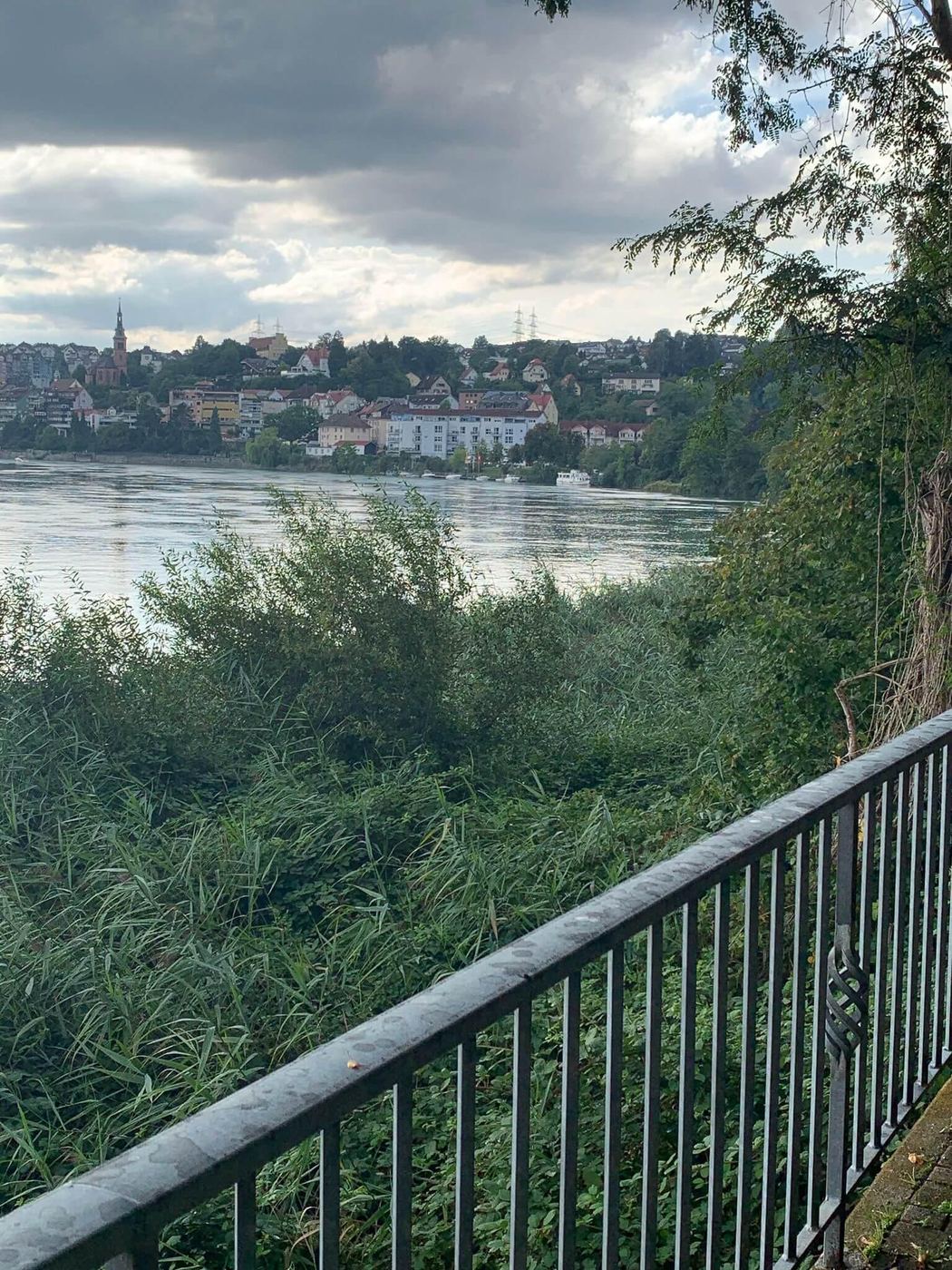 Laufenburg (Baden)